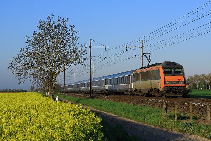 BB 26075.JPG